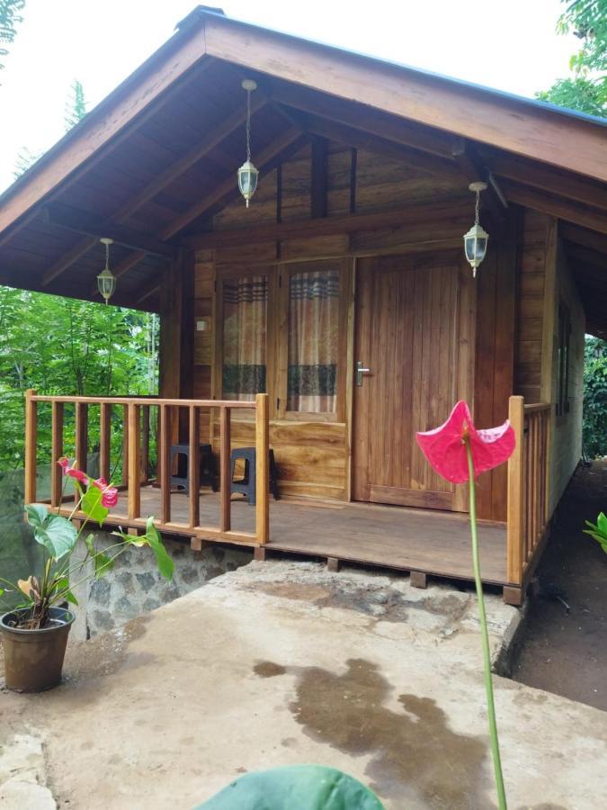 Diyaluma View Cotage Hotel Koslanda Ngoại thất bức ảnh