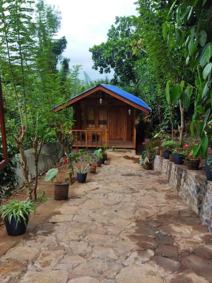 Diyaluma View Cotage Hotel Koslanda Ngoại thất bức ảnh